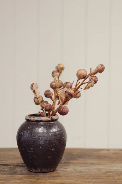 Nut Spray | Coffee