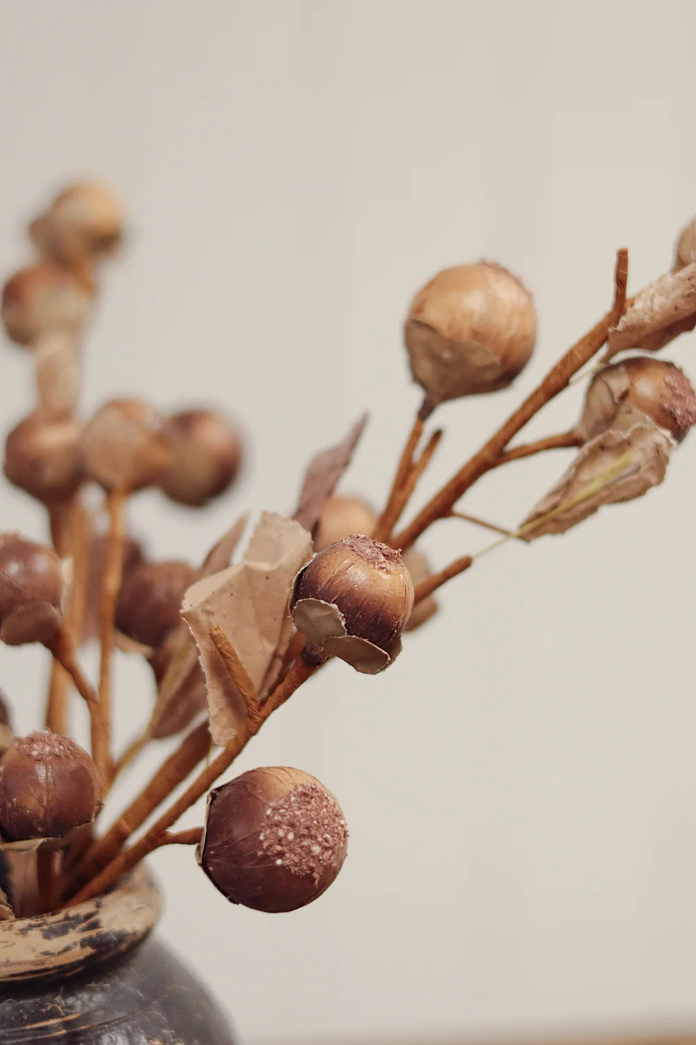 Nut Spray | Coffee