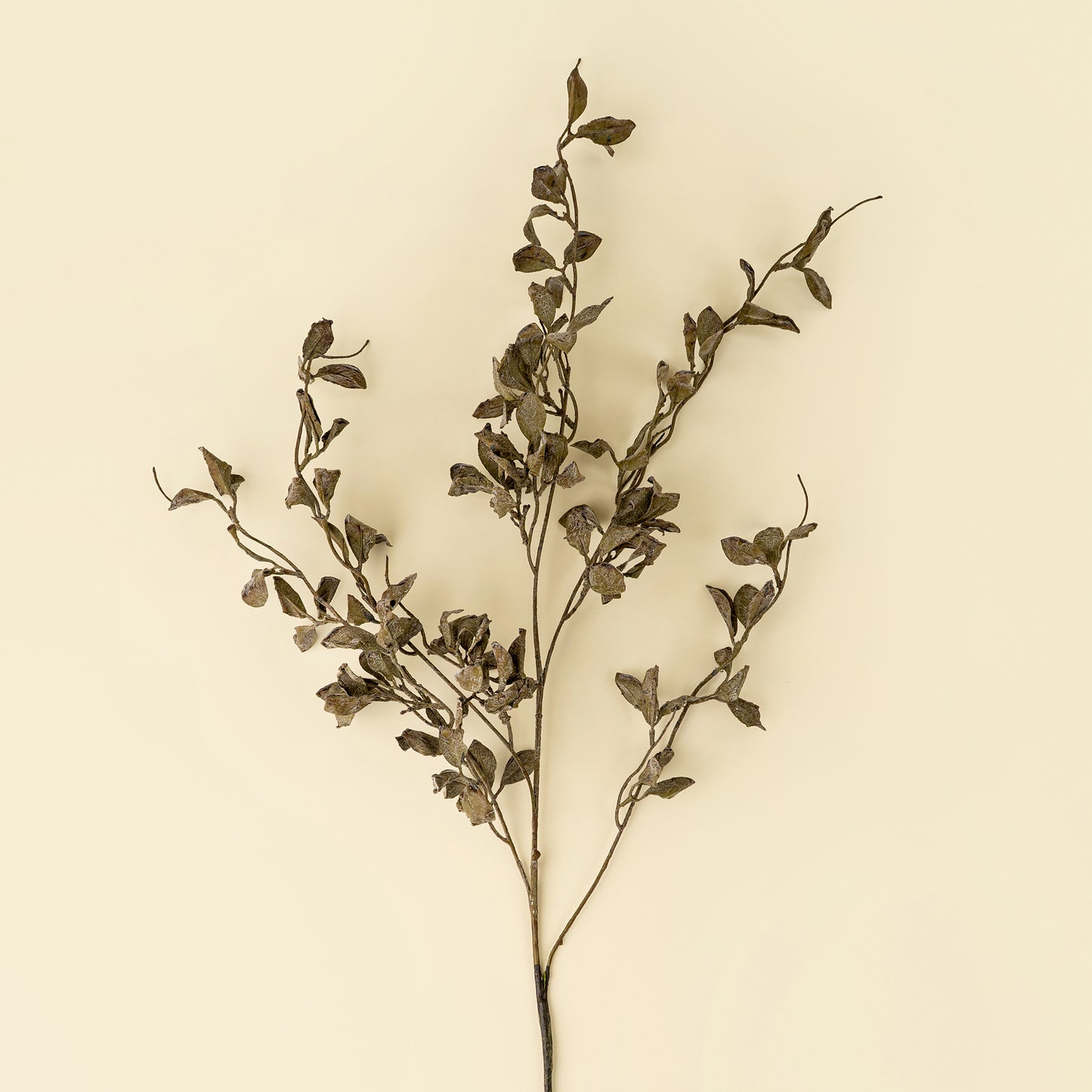 SMOKED EUCALYPTUS | SPRAY