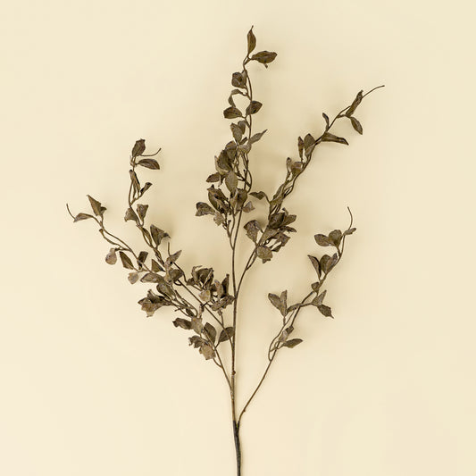 SMOKED EUCALYPTUS | SPRAY