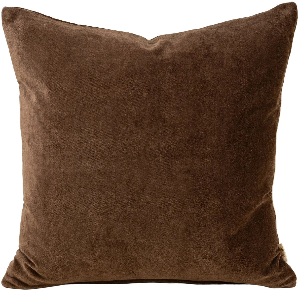 VERA | CLOVE LUXE VELVET