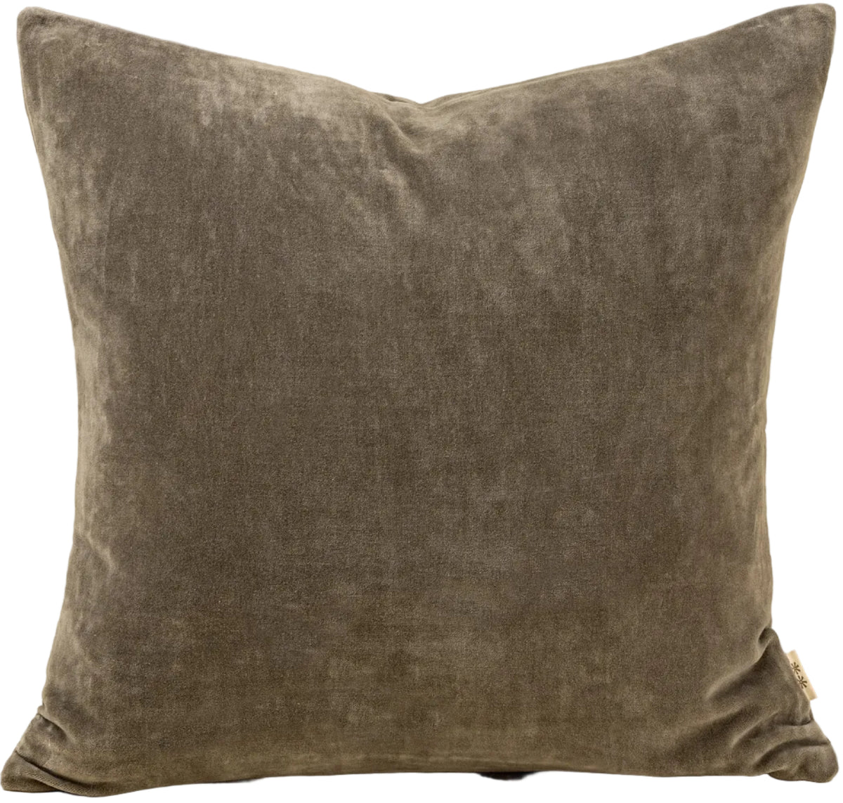 VERA | CYPRESS LUXE VELEVT