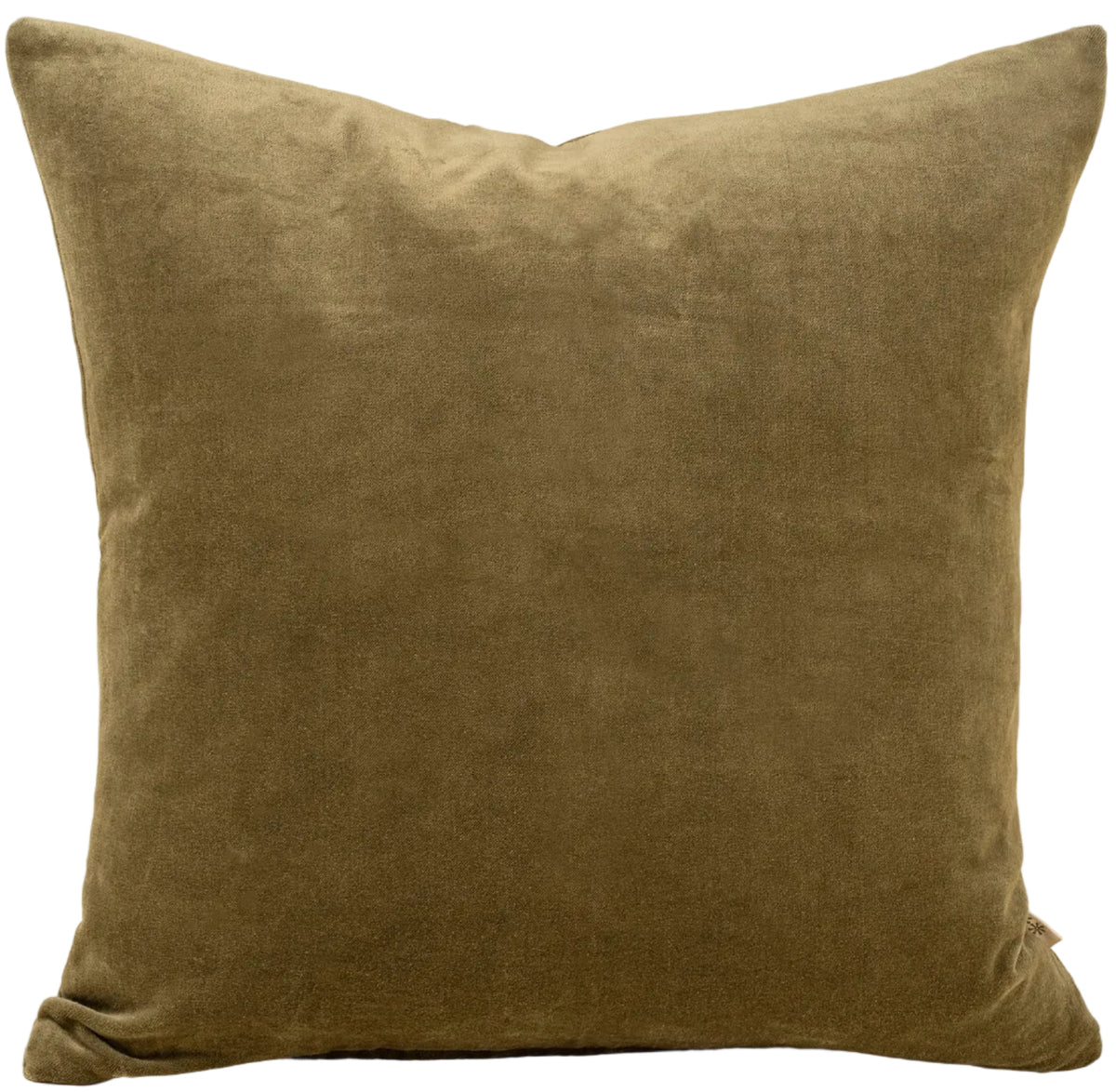 VERA | OLIVE LUXE VELVET