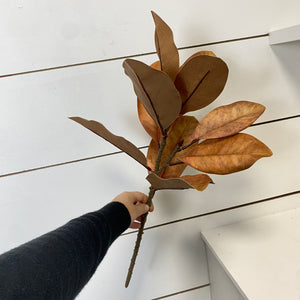 MAGNOLIA | BROWN | STEM