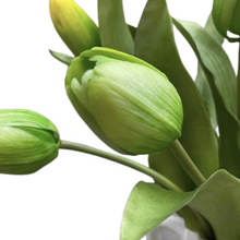 Load image into Gallery viewer, TULIPS
