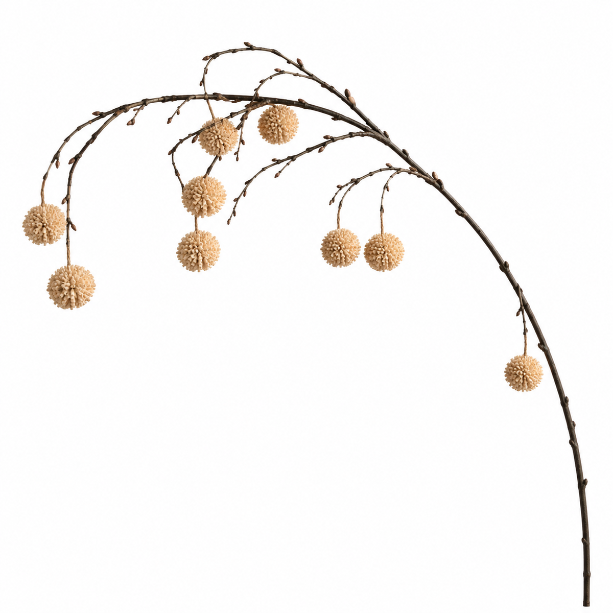 Pixie Branch | Blush