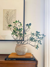 Load image into Gallery viewer, Lazio Rustic Vintage-Style Terracotta Pot with Aged Look
