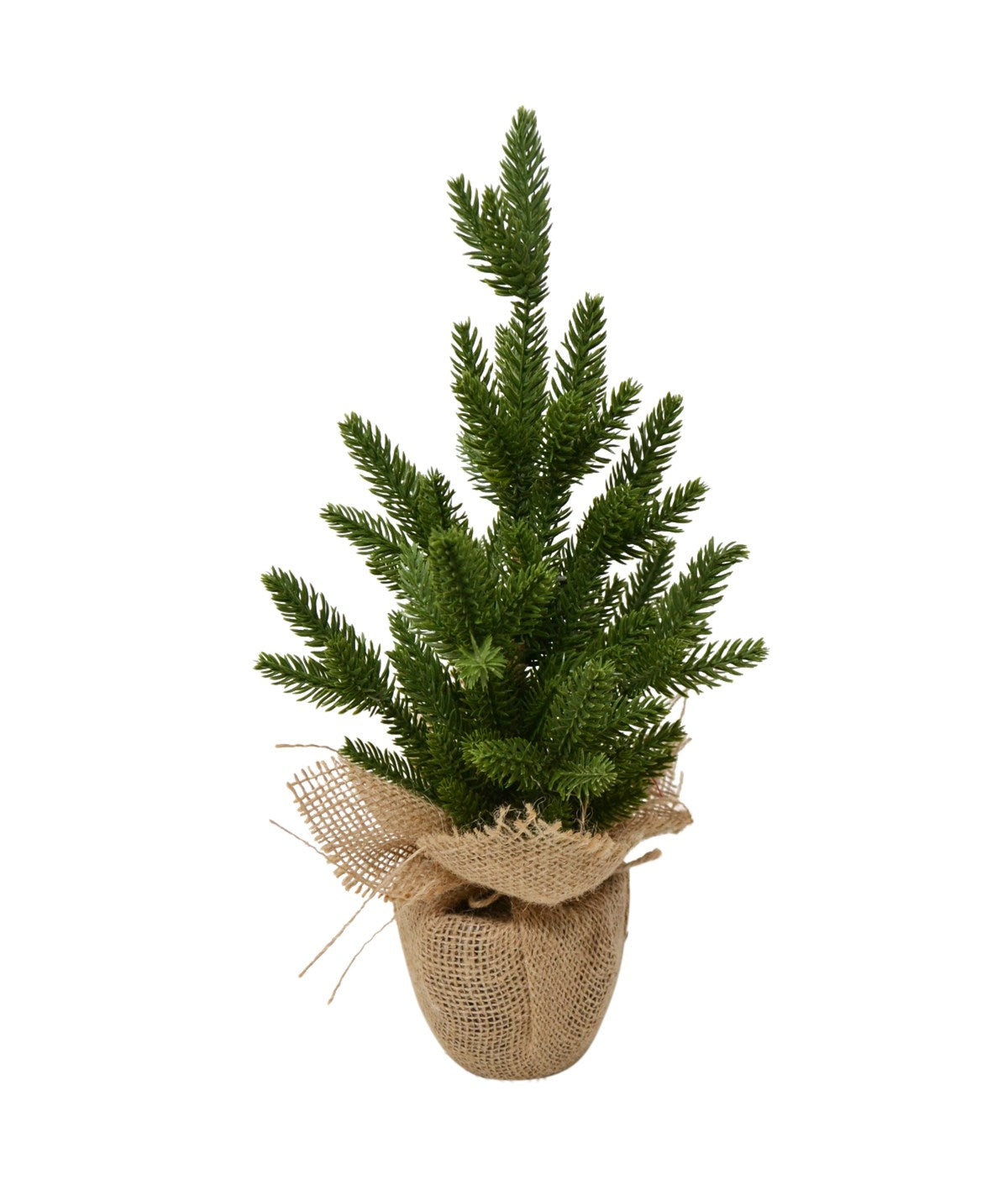 FIR TREE