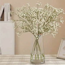 Load image into Gallery viewer, BABYS BREATH | STEM
