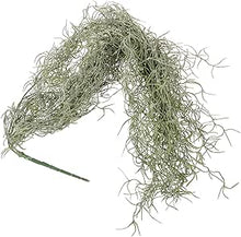 Load image into Gallery viewer, Spanish Moss | Hanging
