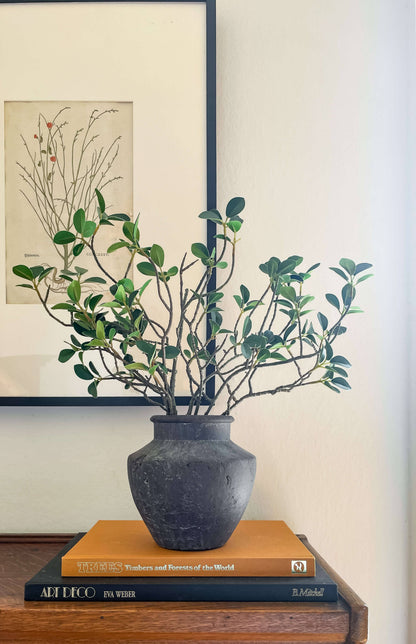 Senna Terracotta Vase – Flared Neck, Charcoal Finish