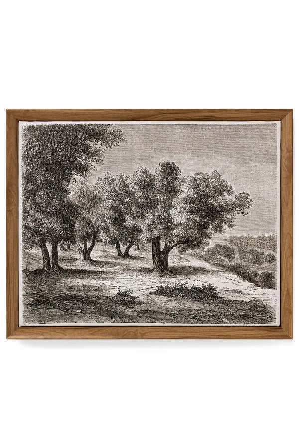 TUSCAN TREE