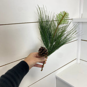 LONG NEEDLE PINE | BUNDLE SM