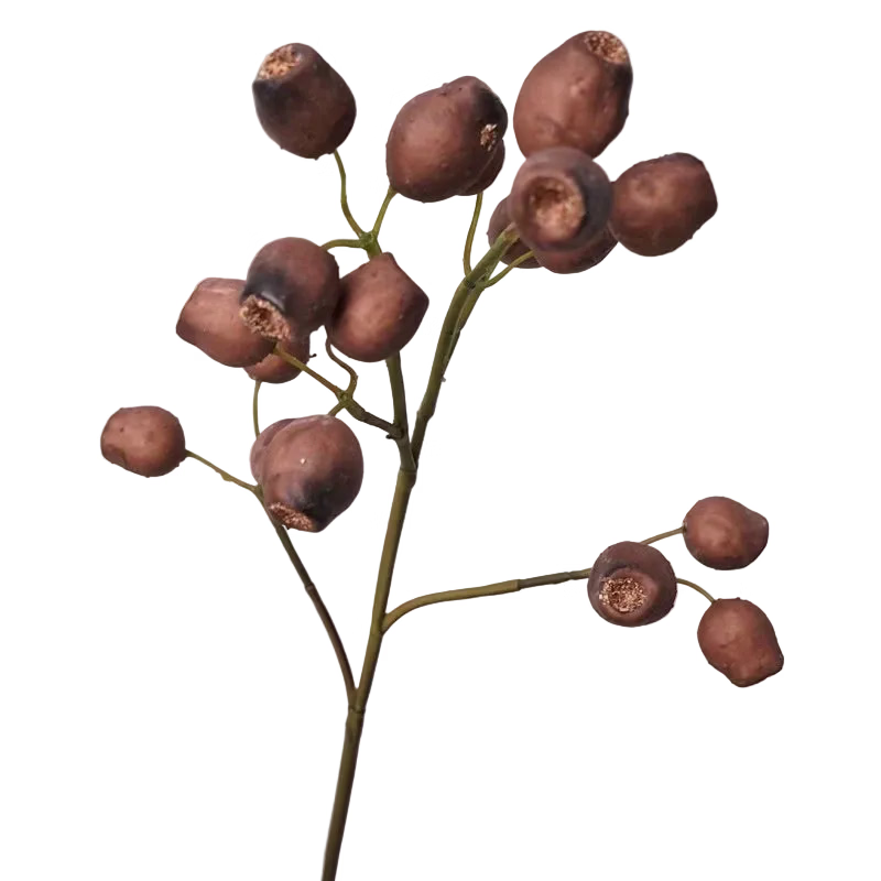 BERRY | STEM