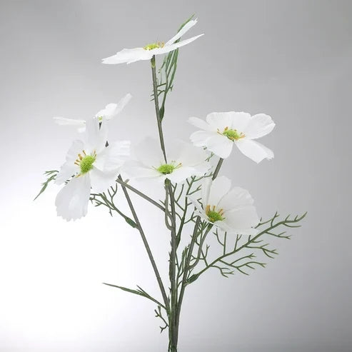 Floral | Cosmo White