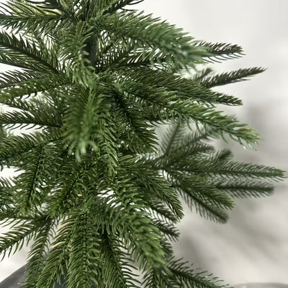 NORDIC TREE | Traditional