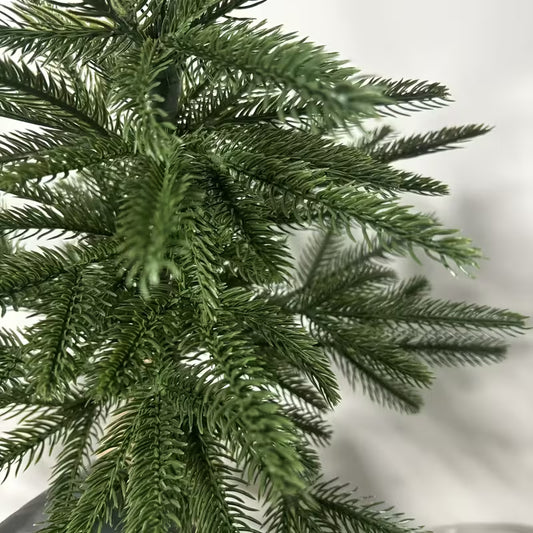 NORDIC TREE | Traditional