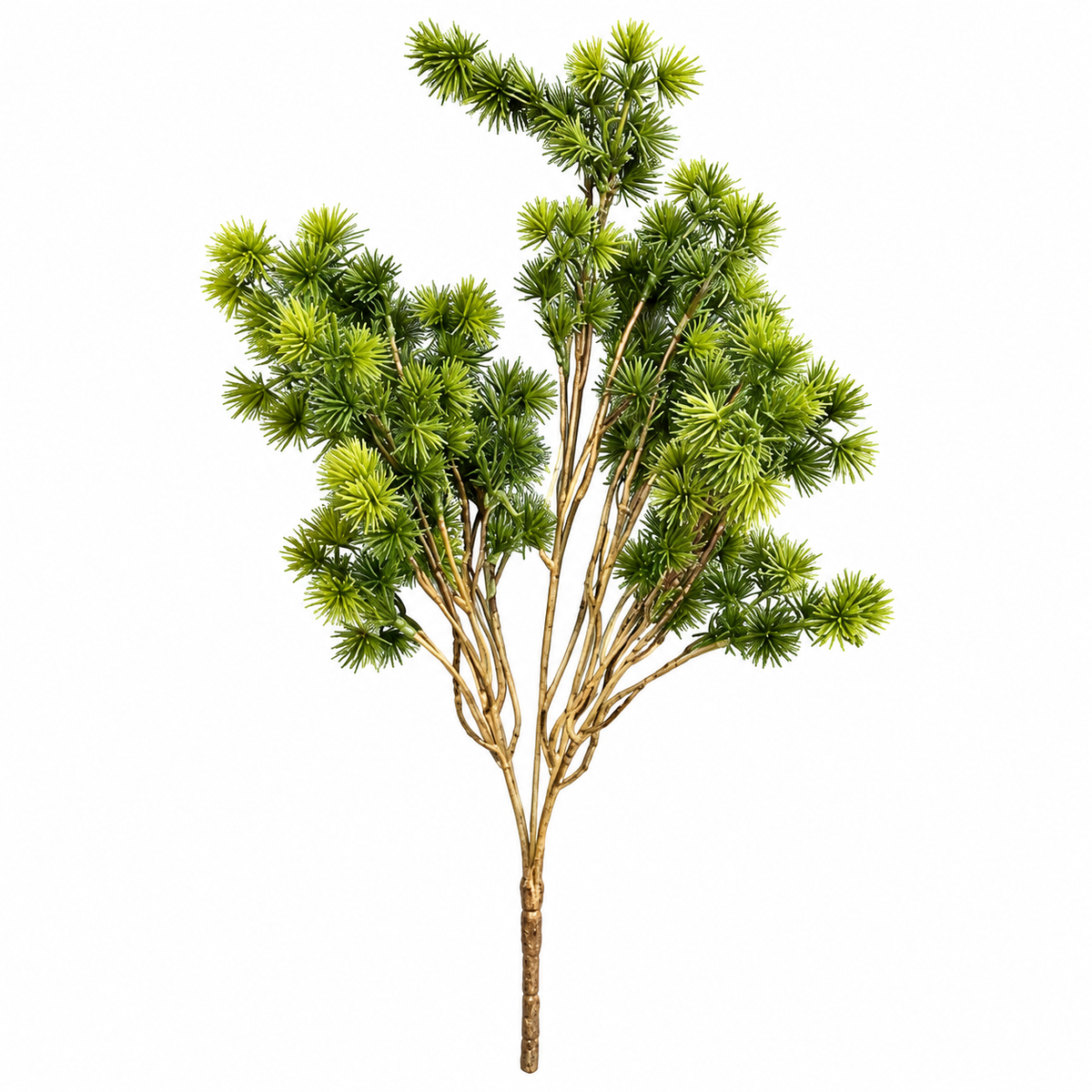 Woodland Pine | Spray