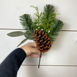 LONG NEEDLE PINE | BUNDLE SM