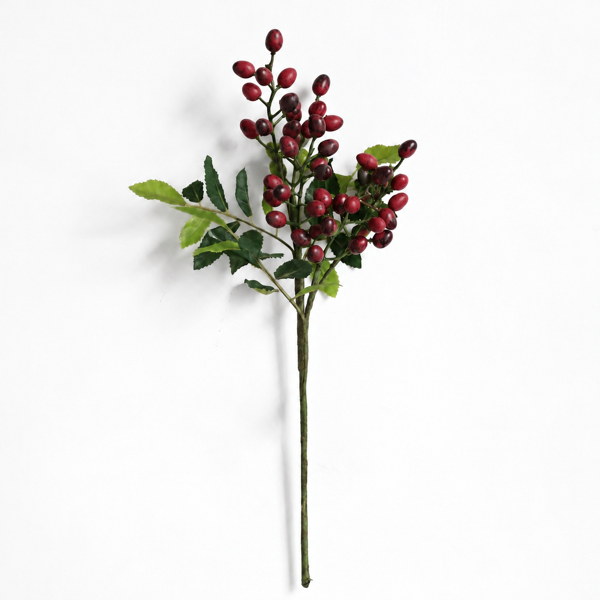 BERRIES | BURGUNDY