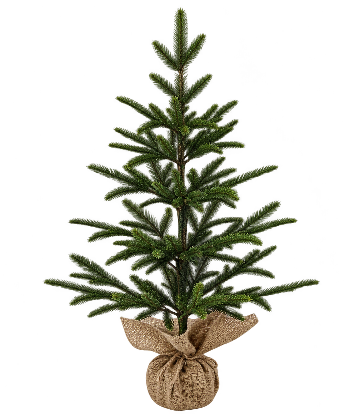 NORDIC TREE | Traditional