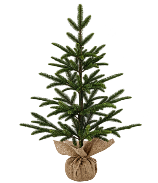 NORDIC TREE | Traditional