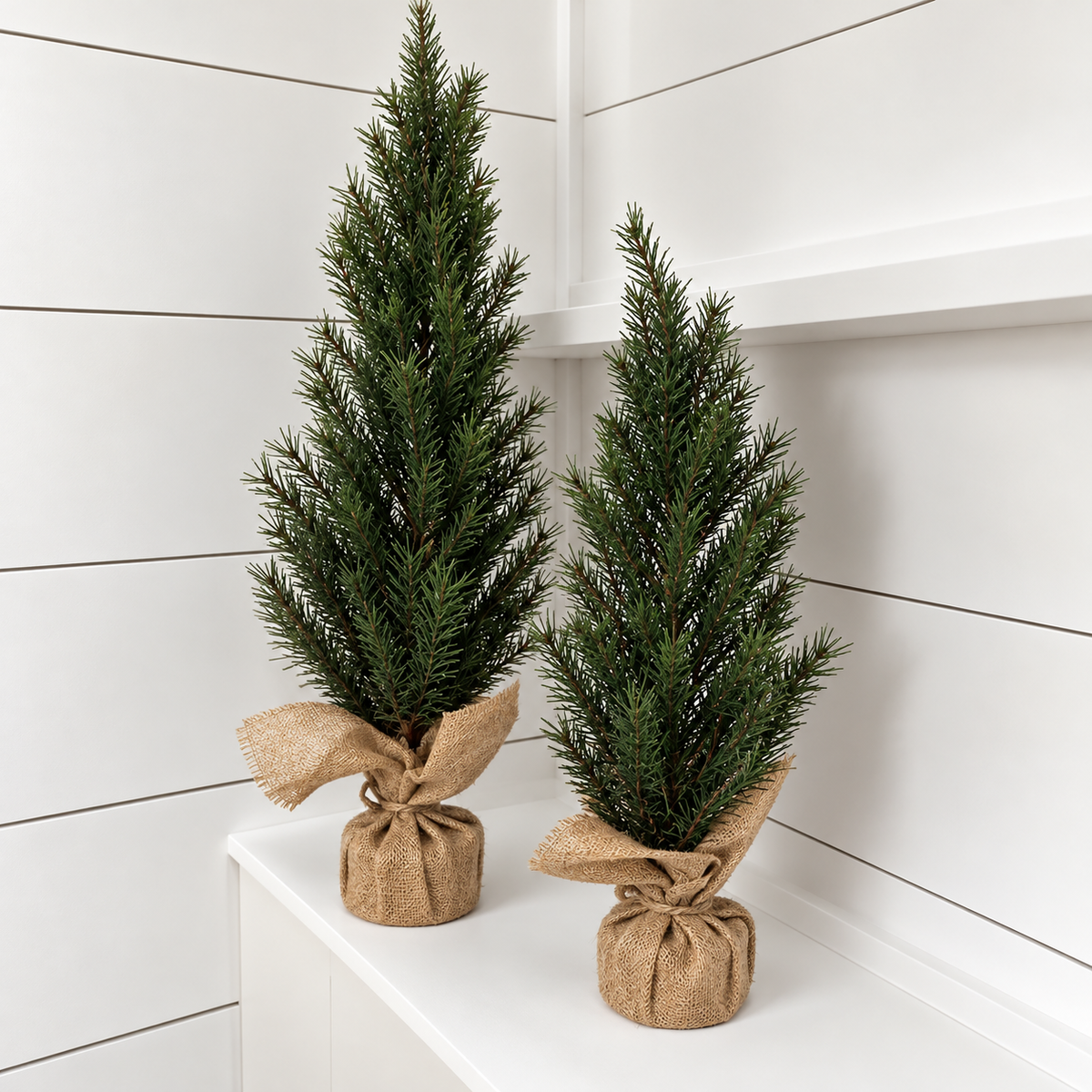 NORDIC | TREE