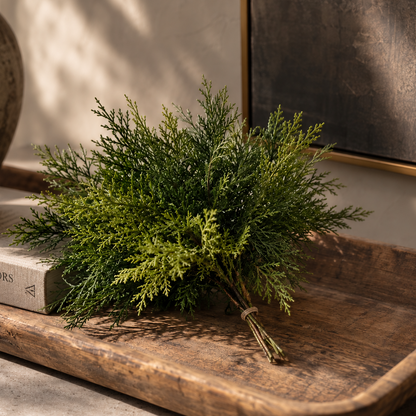 WHITE CEDAR | STEM
