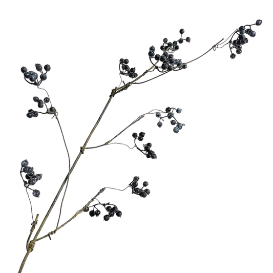 Vine Berries | Blue