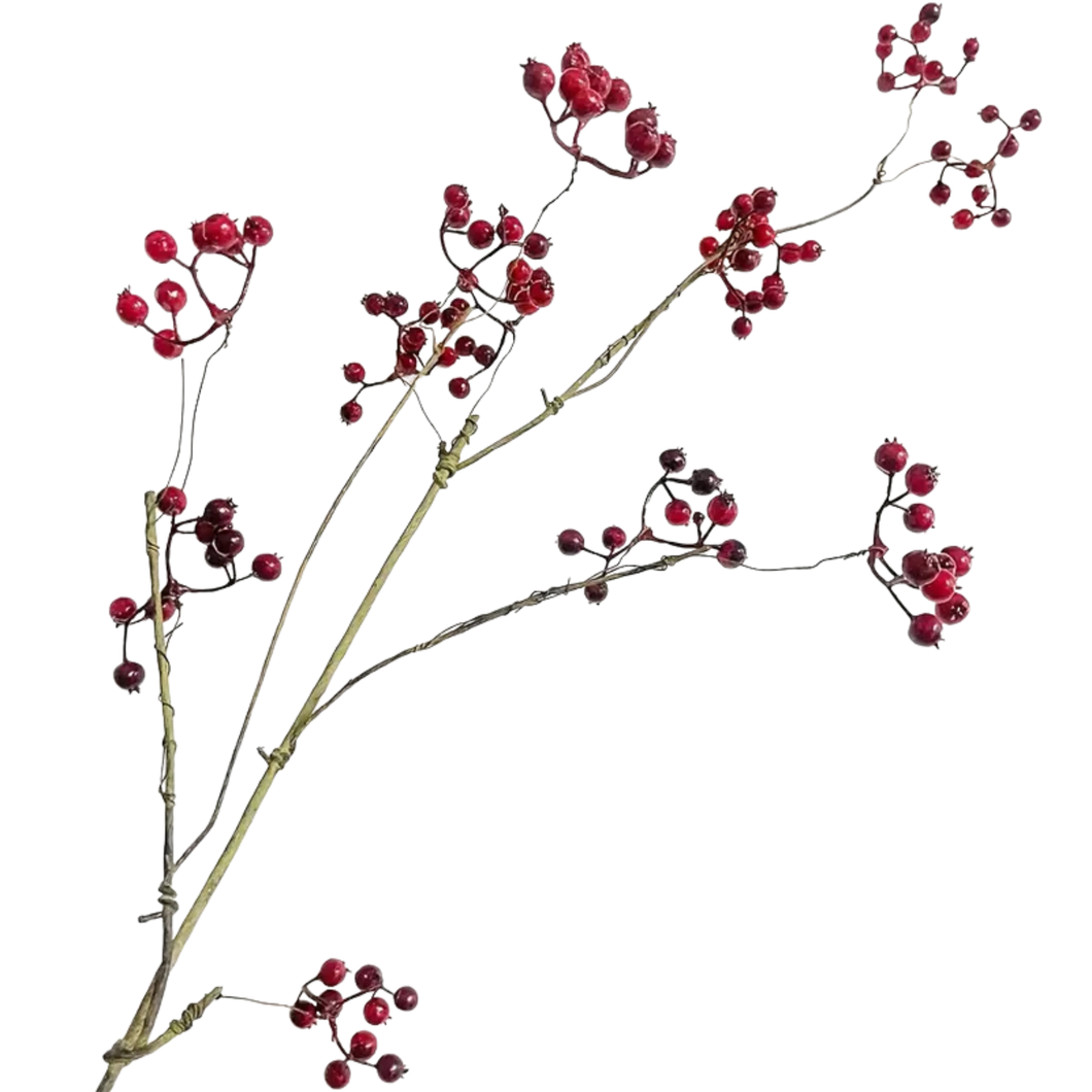 Vine Berries | Red