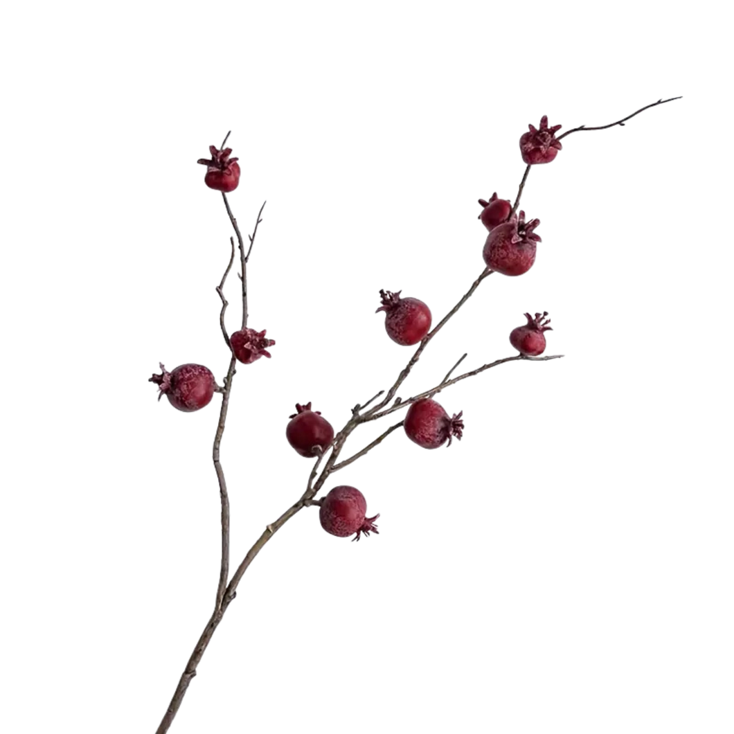 Pomegranate | Stem