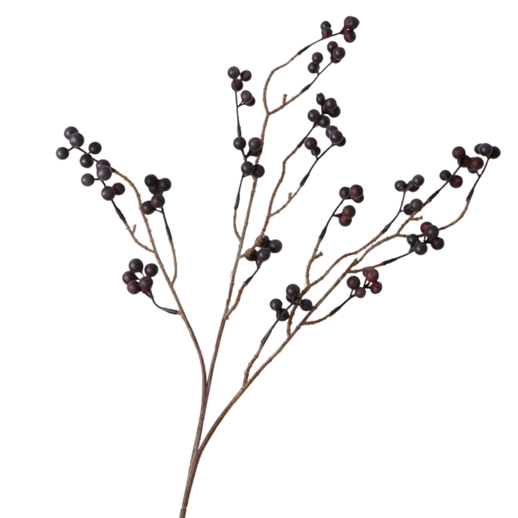 Vine Berries | Black