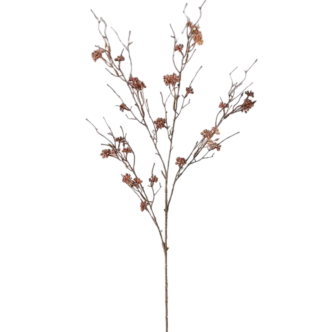 Vine Branch | Brown