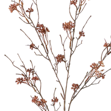 Load image into Gallery viewer, Vine Branch | Brown
