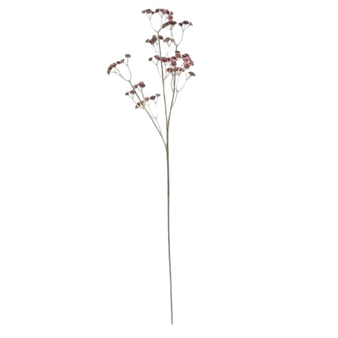 Baby’s Breath