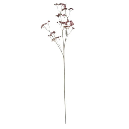 Baby’s Breath
