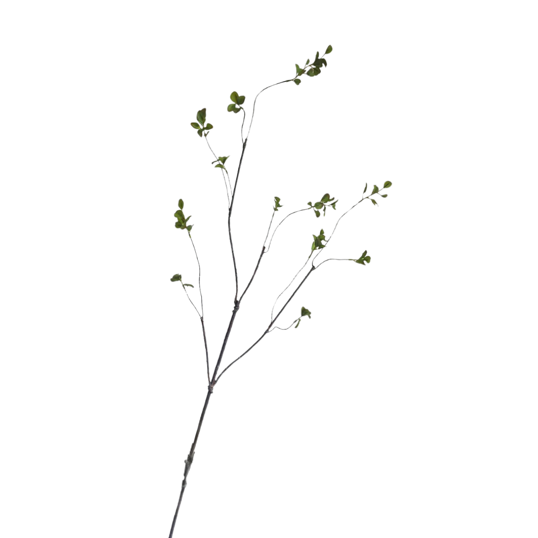 GREEN MINI LEAF | BRANCH