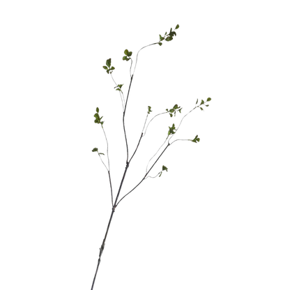 GREEN MINI LEAF | BRANCH