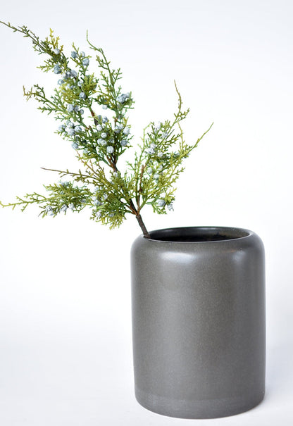 JUNIPER BERRY | STEM
