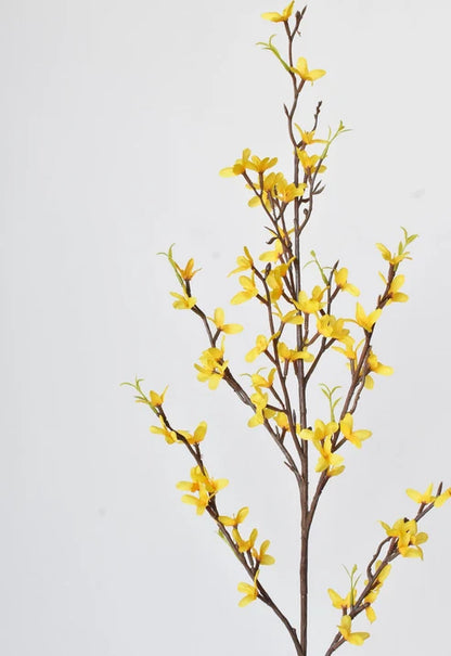 Forsythia | Yellow