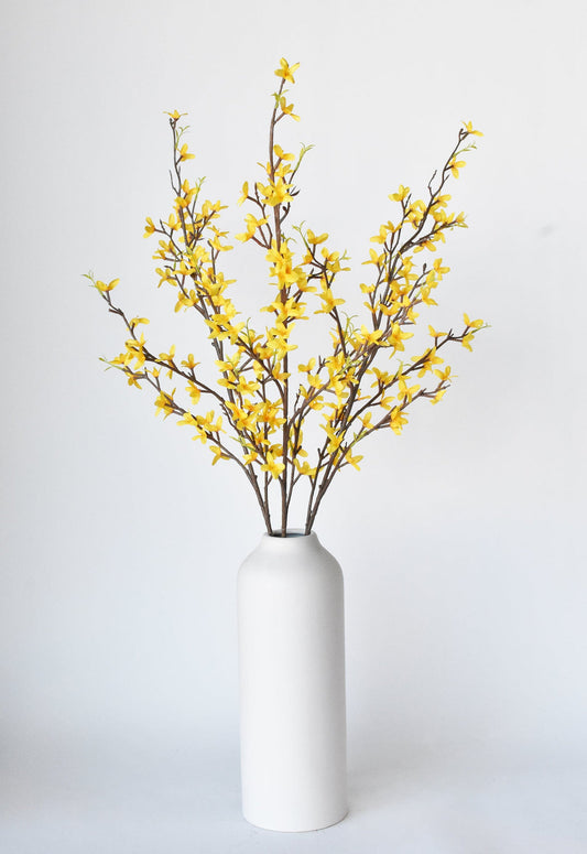 FORSYTHIA SPRAY