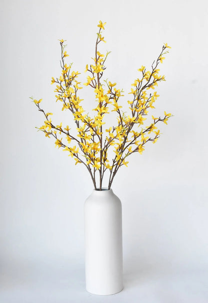 Forsythia | Yellow