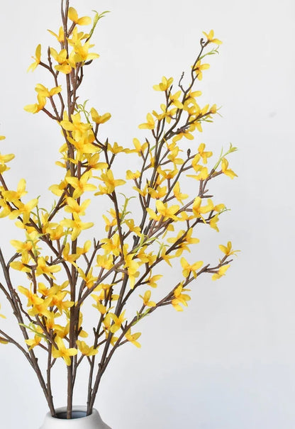Forsythia | Yellow