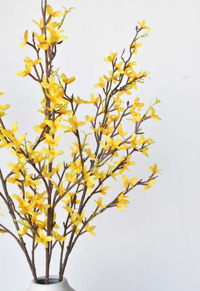 FORSYTHIA SPRAY