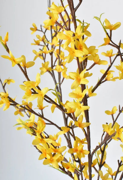 Forsythia | Yellow