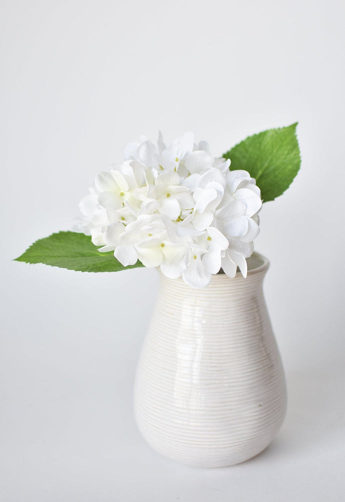 WHITE HYDRANGEA