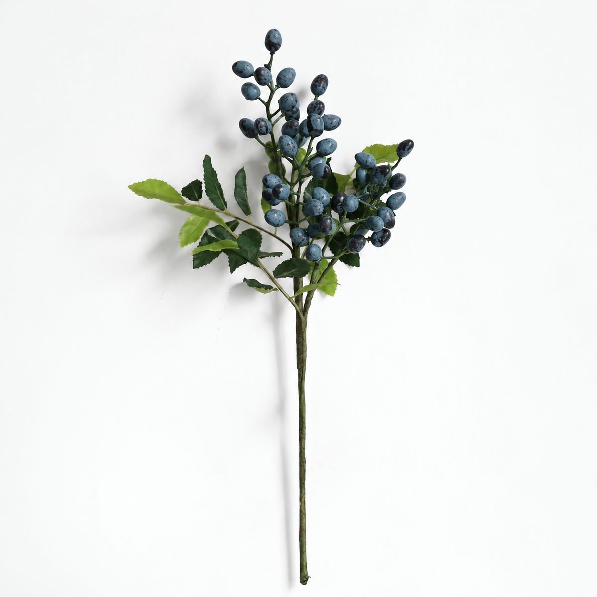 BERRIES | BLUE