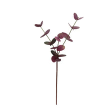 Load image into Gallery viewer, EUCALYPTUS | BURGUNDY
