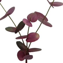 Load image into Gallery viewer, EUCALYPTUS | BURGUNDY
