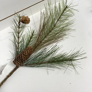 LONG NEEDLE PINE | STEM SM